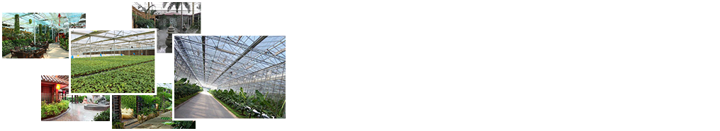 24小時免費咨詢、免費技術指導