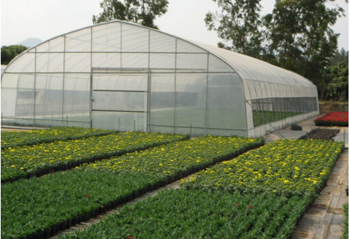 陜西單棟溫室大棚