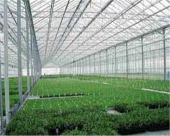 甘肅蔬菜大棚|育苗大棚