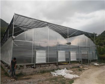 甘肅溫室大棚案例