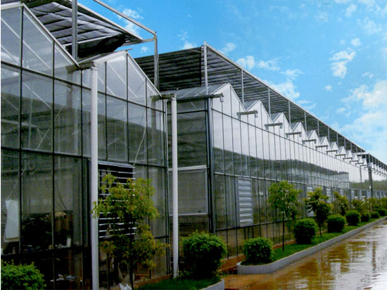 陜西溫室大棚生產廠家 陜西溫室大棚生產廠家