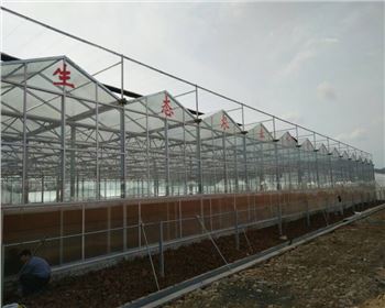 甘肅蔬菜大棚案例