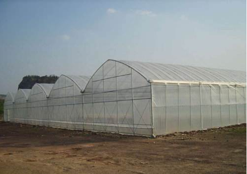 陜西溫室大棚設(shè)計(jì)生產(chǎn)