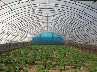 技術(shù)專業(yè)，服務(wù)到位