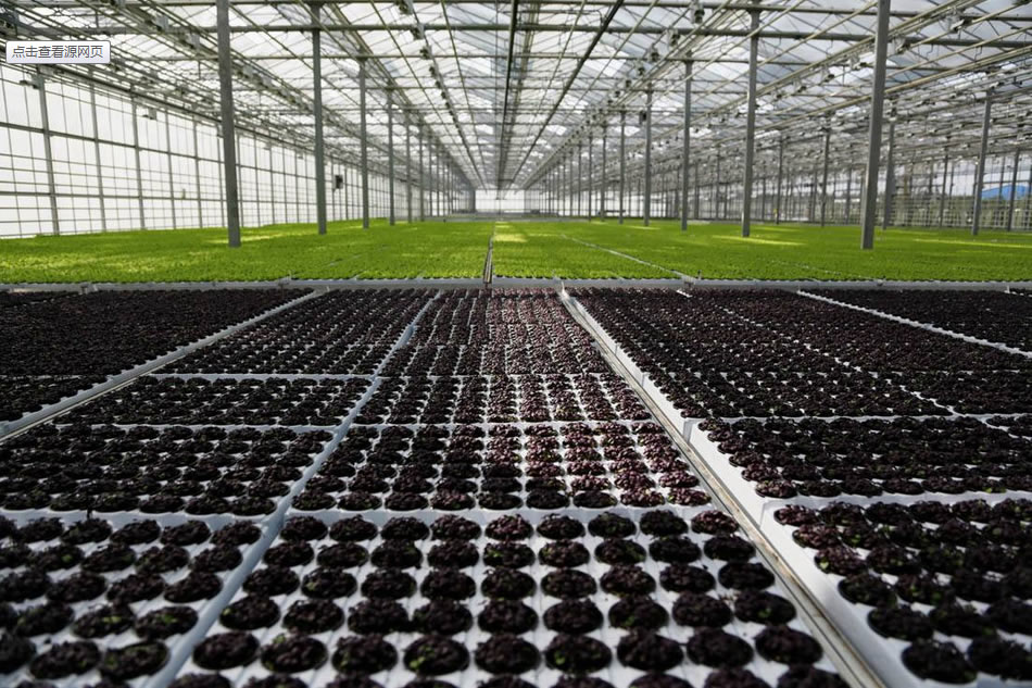 實力雄厚，品質(zhì)保證！