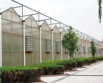 規(guī)模大，質量好