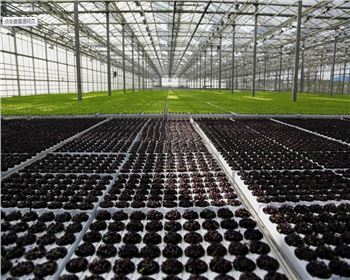 實力雄厚，品質保證！