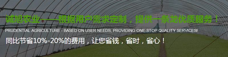 陜西溫室蔬菜大棚 陜西溫室蔬菜大棚