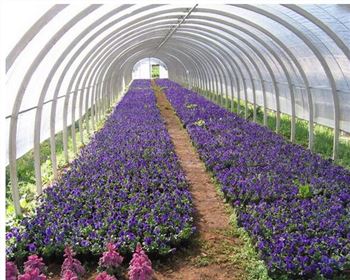 溫室大棚產(chǎn)業(yè)全景透視：現(xiàn)代農(nóng)業(yè)的設(shè)施革命