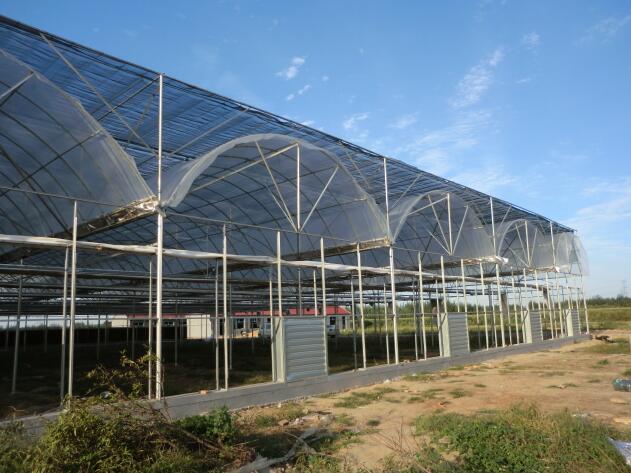 陜西溫室大棚 陜西溫室大棚